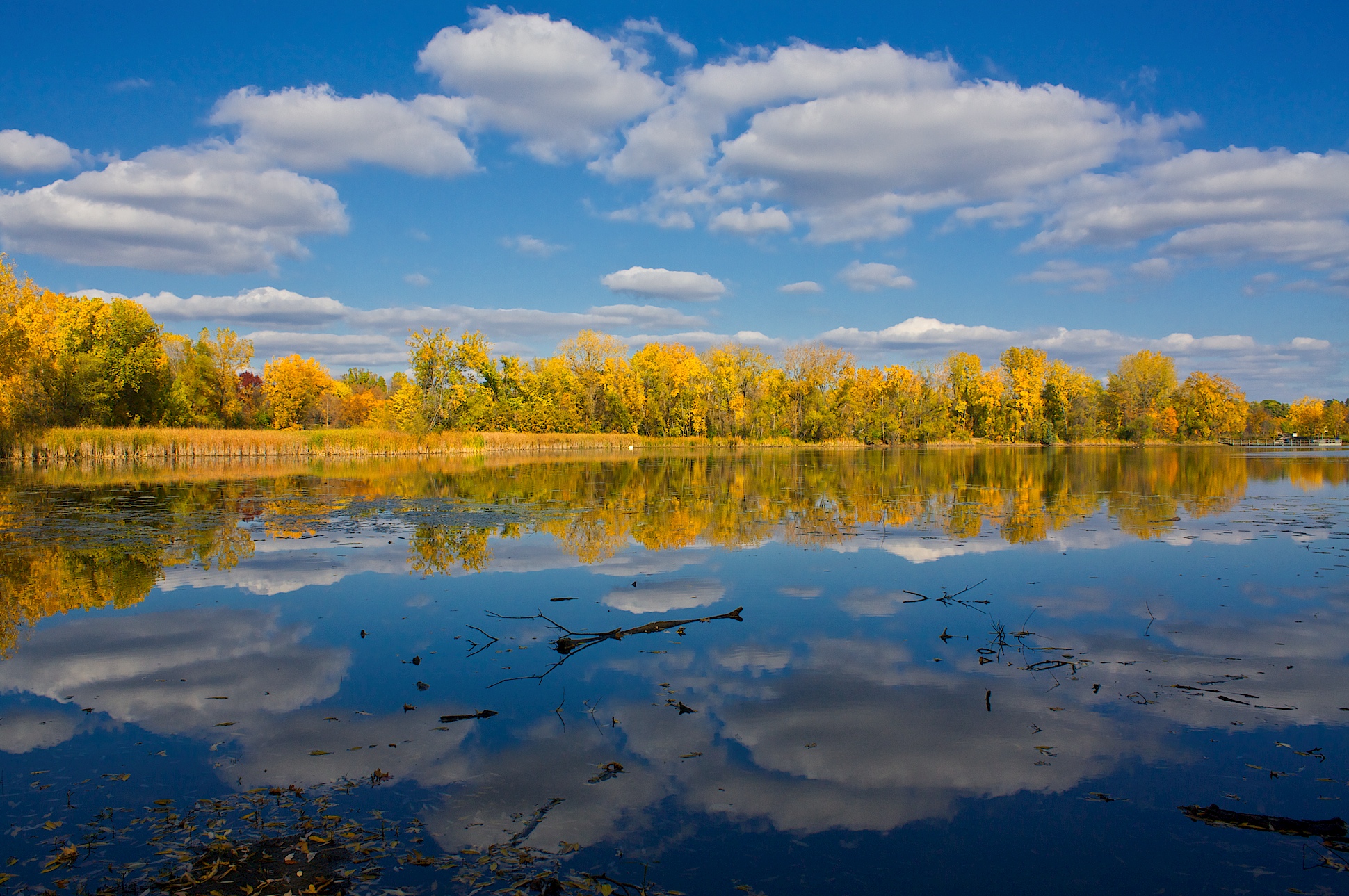 Wild Sanctuary | The On Being Project