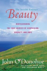 Cover of Beauty: The Invisible Embrace