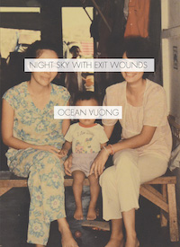 Cover of Night Sky with Exit Wounds