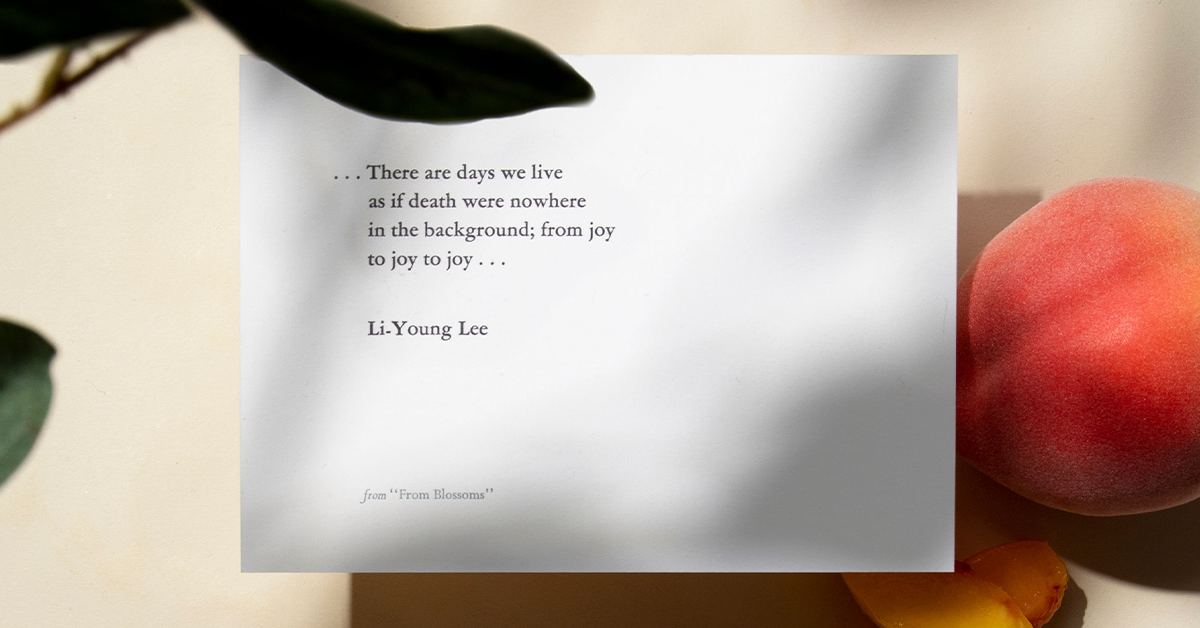 analysis of the poem a story by li young lee