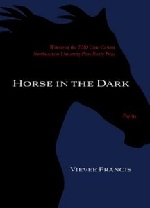 Cover of Horse in the Dark