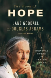 Cover of The Book of Hope: A Survival Guide for Trying Times