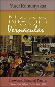 Cover of Neon Vernacular