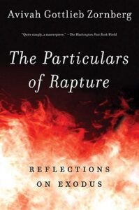 Cover of The Particulars of Rapture