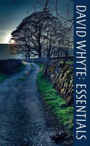 Cover of David Whyte: Essentials