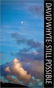Cover of Still Possible