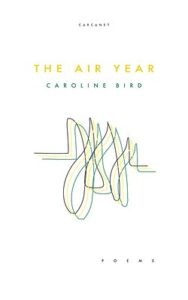 Cover of The Air Year