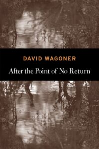 Cover of After the Point of No Return