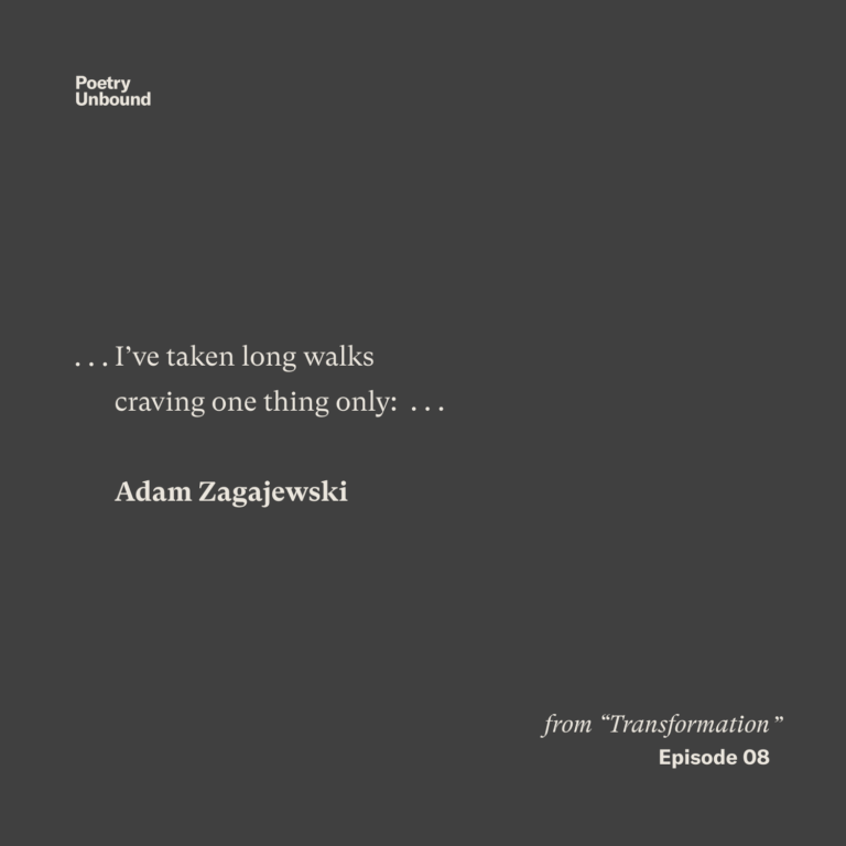 … I’ve taken long walks craving one thing only: … Adam Zagajewski