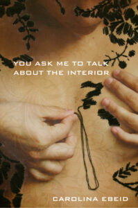 Cover of You Ask Me to Talk About the Interior