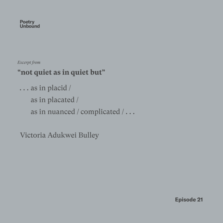“Not quiet as in quiet but,” … as in placid / as in placated / as in nuanced / complicated / … Victoria Adukwei Bulley