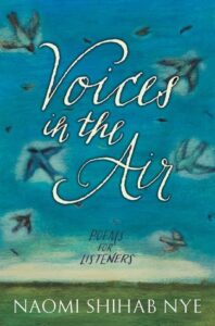 Cover of Voices in the Air
