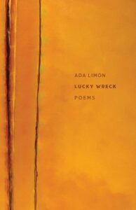 Cover of Lucky Wreck