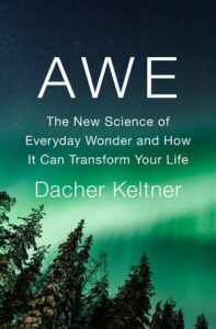 Cover of Awe: The New Science of Everyday Wonder and How It Can Transform Your Life