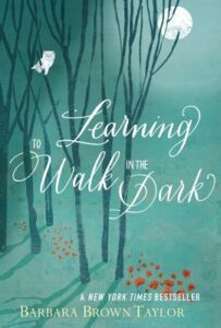 Cover of Learning to Walk in the Dark