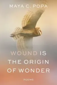 Cover of Wound Is the Origin of Wonder
