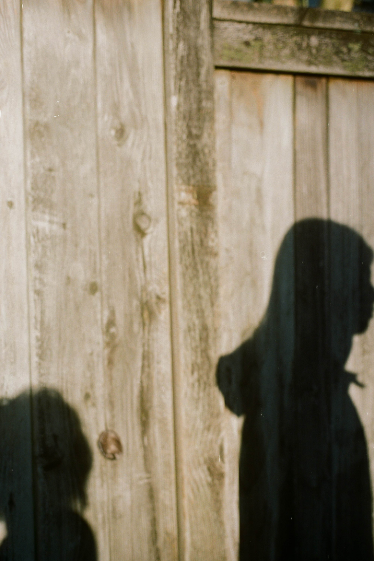 Two people's shadows are visible against a wooden fence.
