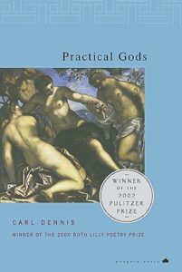 Cover of Practical Gods