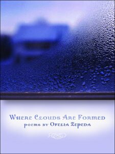 Cover of Where Clouds Are Formed