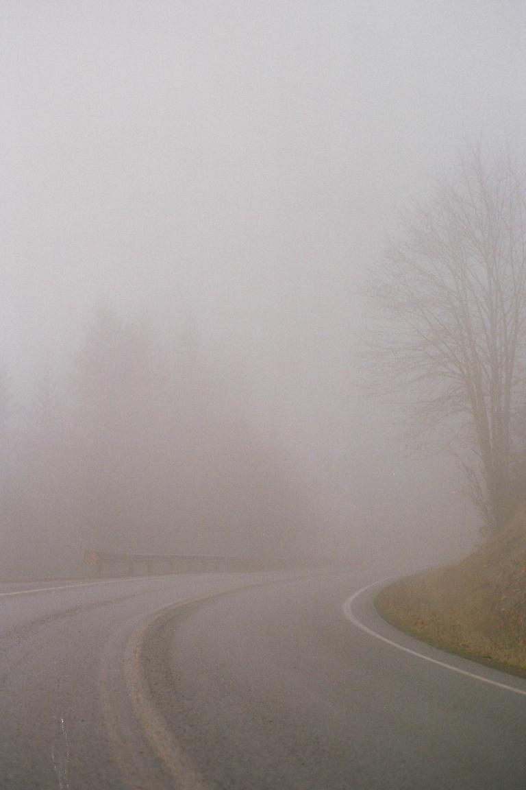 Fog shrouds a winding two-way road.
