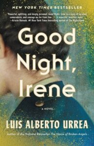 Cover of Good Night, Irene