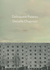 Cover of Delinquent Palaces